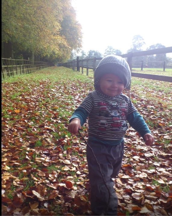 A baby boy walking through a field covered in leaves.